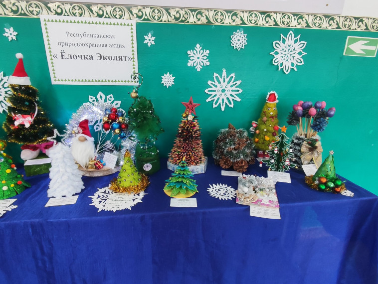 «Елочка Эколят».
